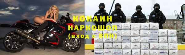 индика Беломорск