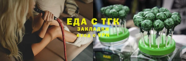 индика Беломорск