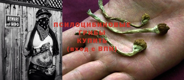 дмт Богородск