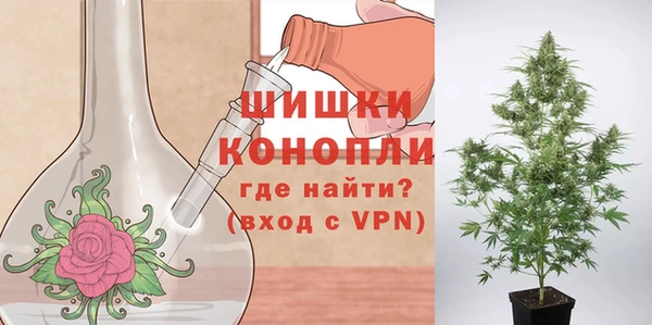 ешки Белокуриха