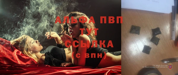ешки Белокуриха