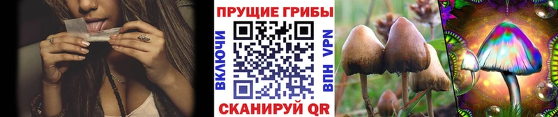 Галлюциногенные грибы ЛСД  Медногорск 